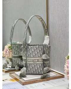 Dior D-Bubble Bucket Bag Gray Oblique