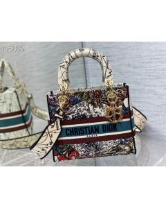 Dior Lady D Lite Bag Constellation Series  Multicolor